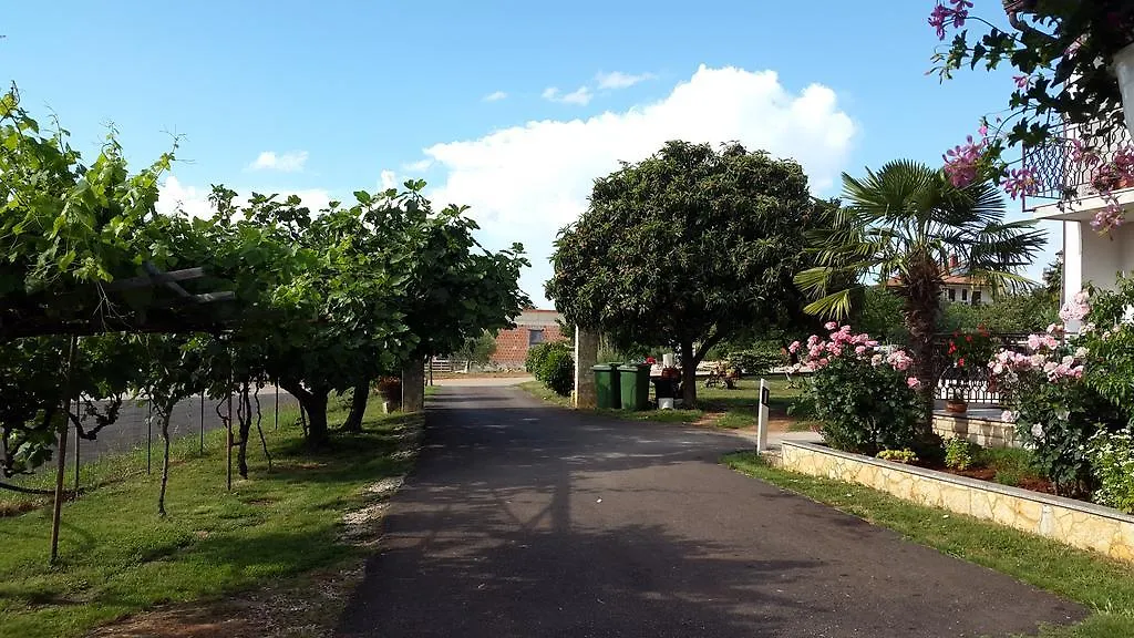 Apartment Samanta Novigrad  Novigrad (Istria)